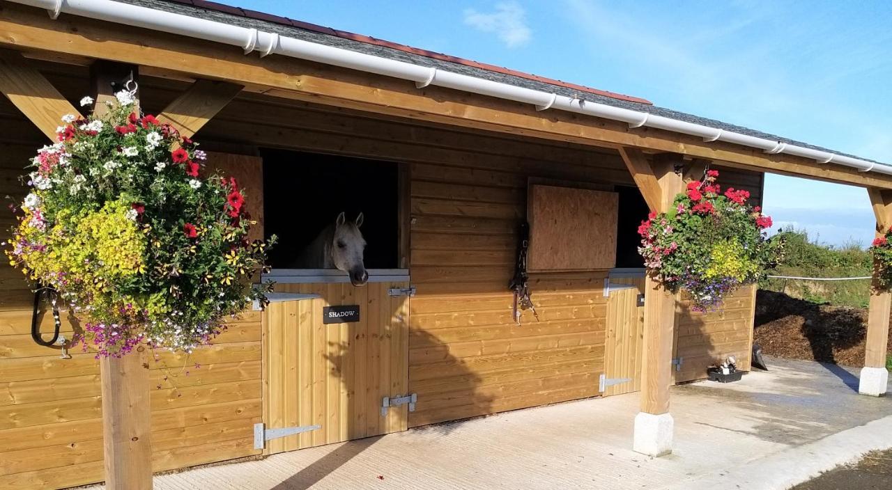Rosebank Barn Vila Brentor Exterior foto